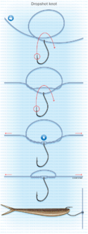 Click image for larger version

Name:	dropshotknot.png
Views:	8300
Size:	432,0 KB
ID:	2554387