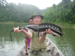 Click image for larger version

Name:	Giant_Snakehead_005.jpg
Views:	1050
Size:	28,8 KB
ID:	1754345