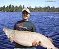 Click image for larger version

Name:	muskie56incher1.jpg
Views:	715
Size:	27,4 KB
ID:	1789878